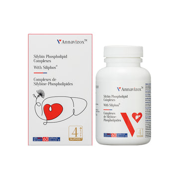 Silybin Phospholipid Complexes With Siliphos® Capsules 1 Bottle